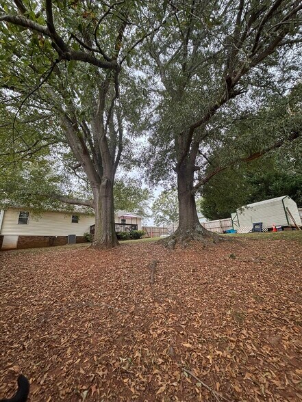 Building Photo - 113 Moss Ln