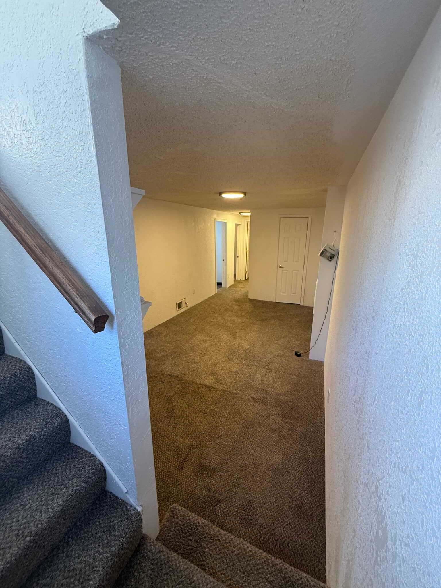 Downstairs living area 1 - 42 Alcott St