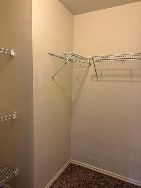 Building Photo - 1116 Brandywine Ln