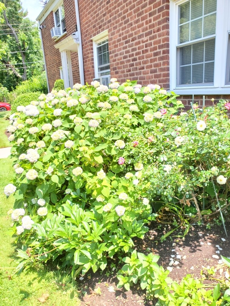 Building Photo - 100 Huguenot Ave