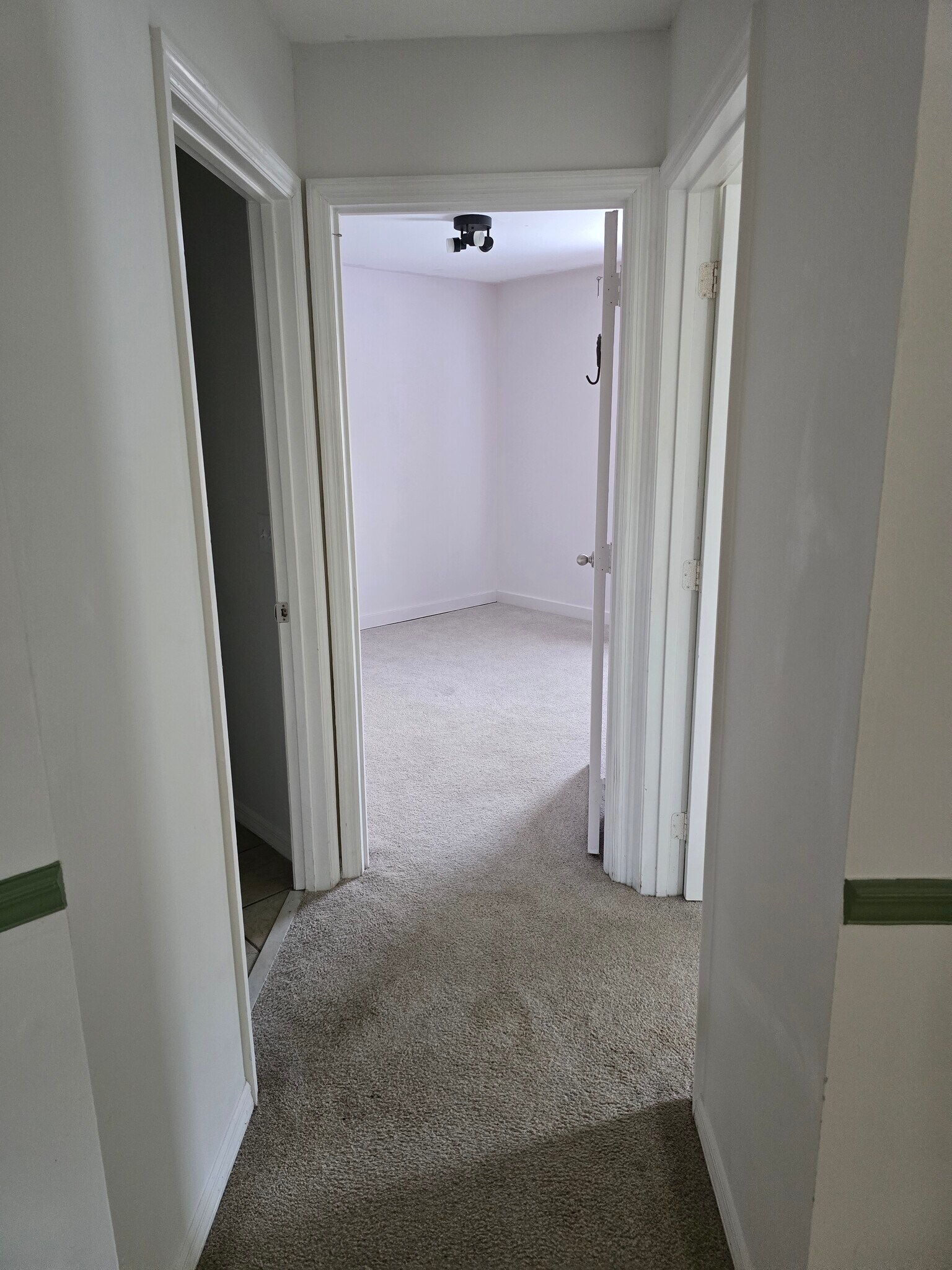 Hallway - 2169 Saint Martins Dr W