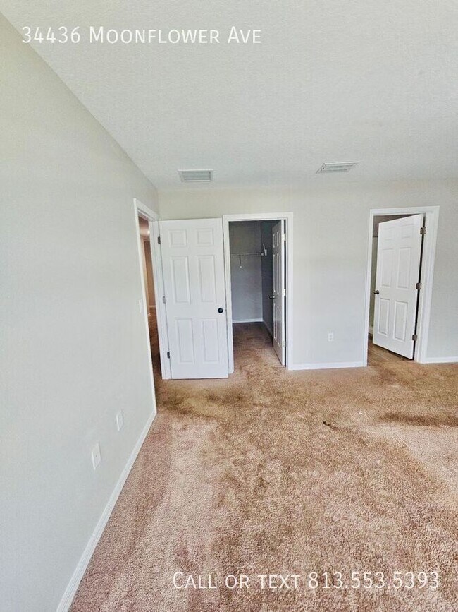 Building Photo - 34436 Moonflower Ave