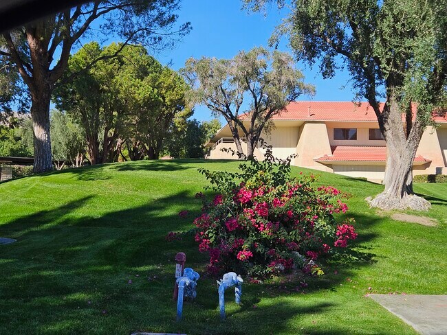 Well cared for grounds - 2809 N Los Felices Cir E