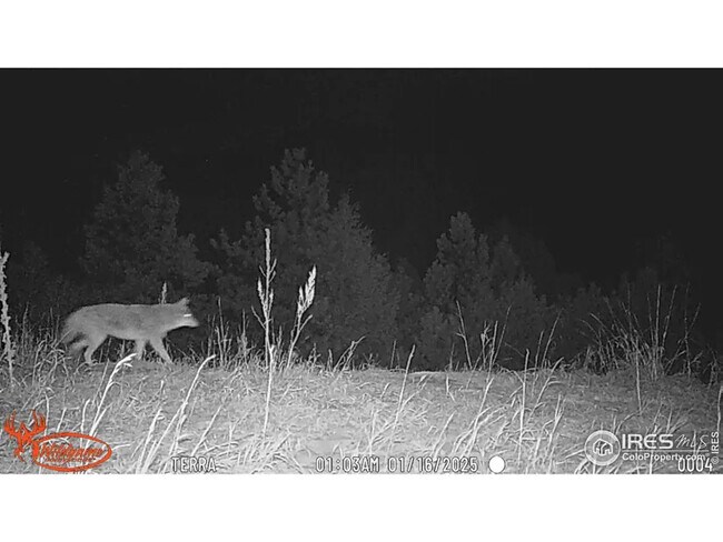 Building Photo - 457 Spruce Mountain Dr