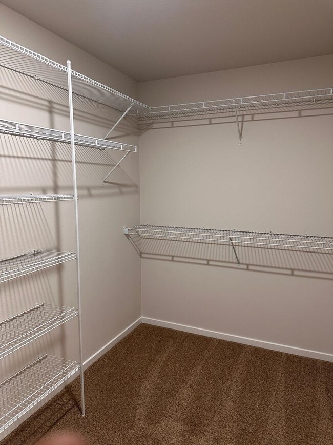 Building Photo - Beautiful Spanaway Home! Apply Today