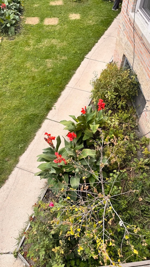 Building Photo - 4441 N Central Ave