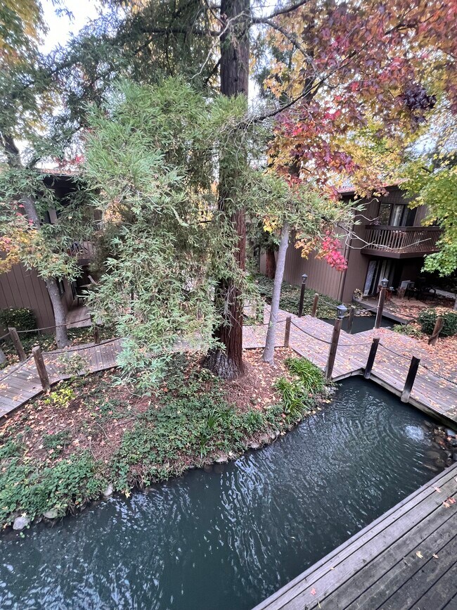 Building Photo - 911 Fulton Ave