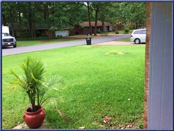 Building Photo - Beautiful Country Place in Haughton