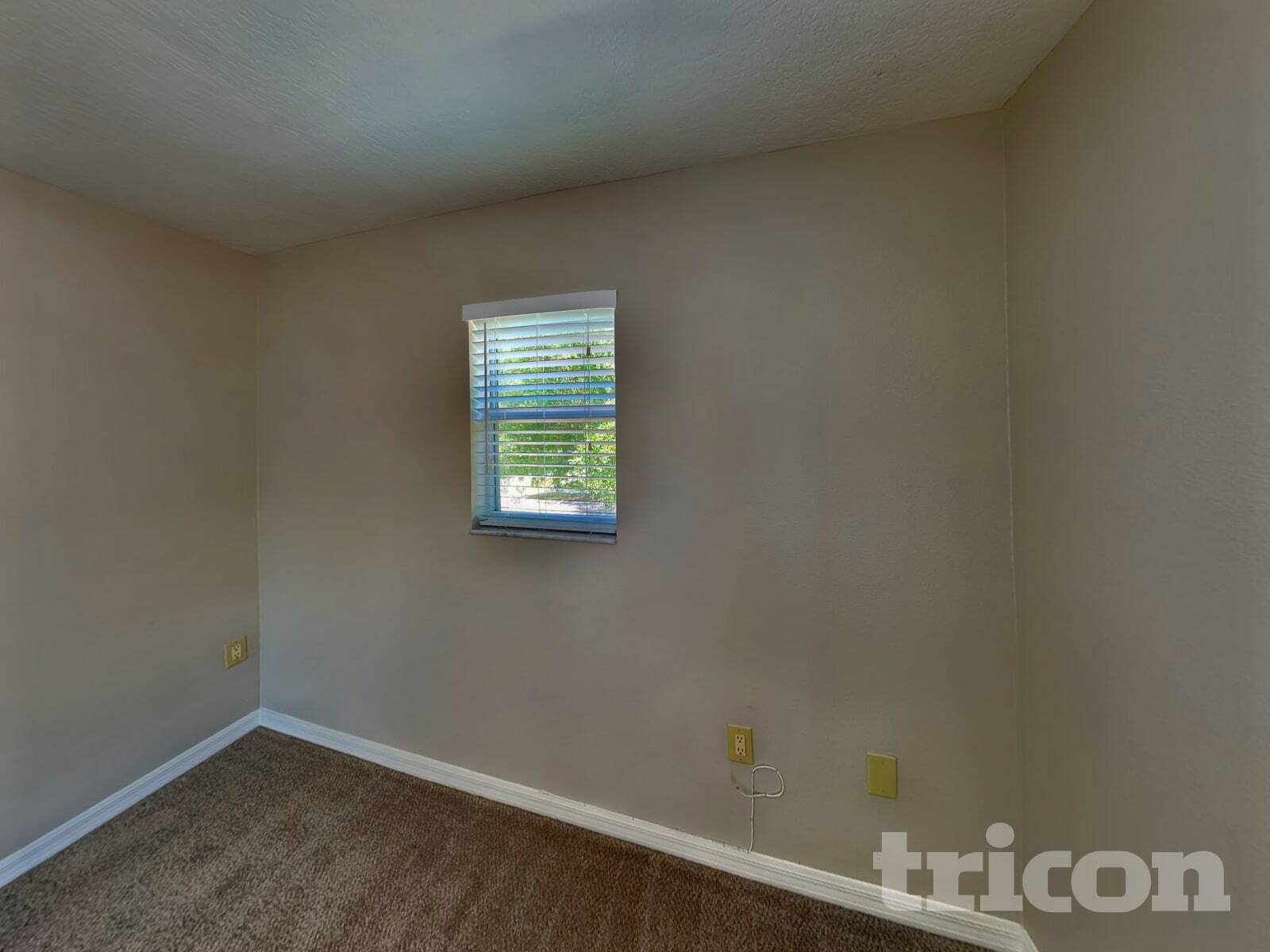 Building Photo - 10432 Boyette Creek Blvd