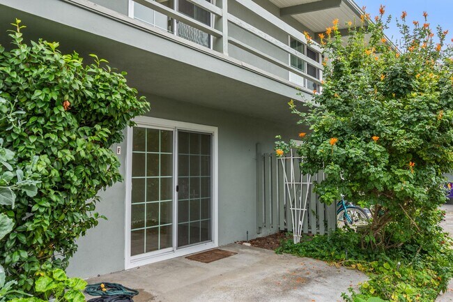 Building Photo - Catalina Apartments