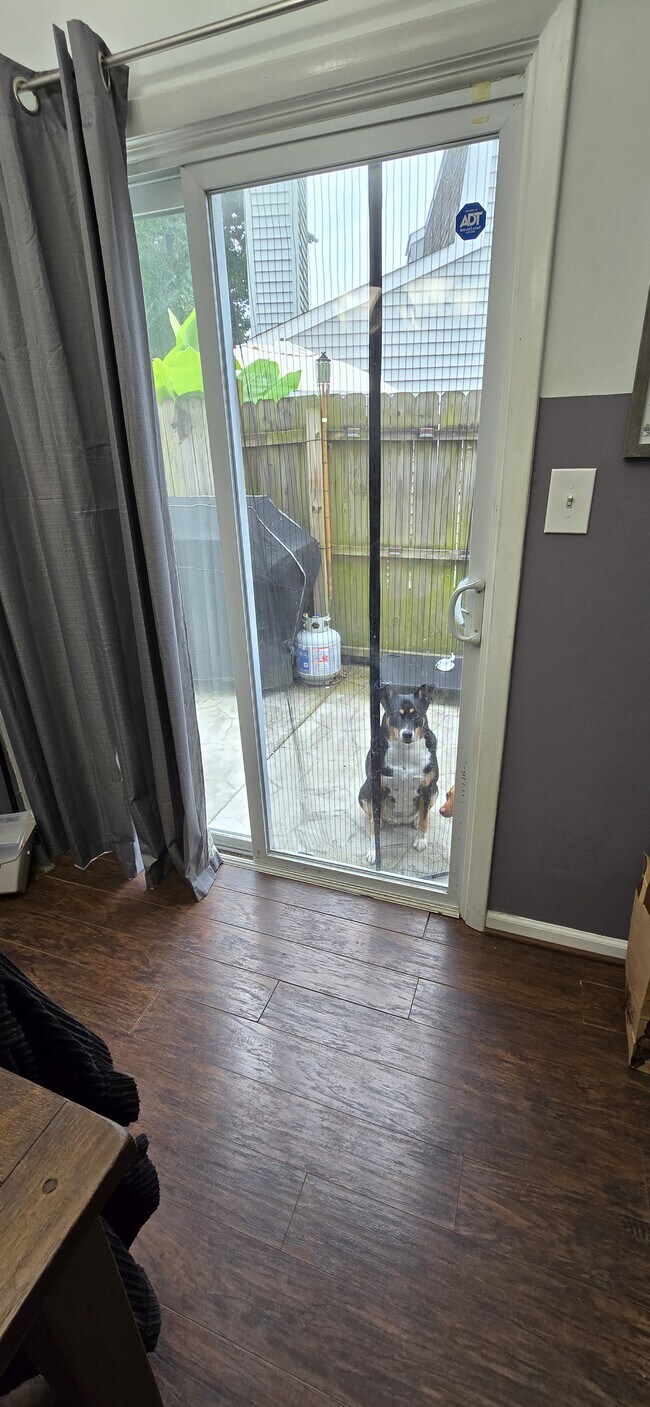 Backdoor, does not come with pooch - 1261 Eaglewood Dr