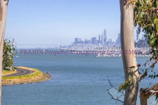 Building Photo - Luxury Townhome on Exclusive De Silva Island!