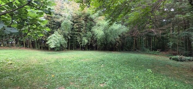 Building Photo - 3BR/2BA Home in Conover, North Carolina