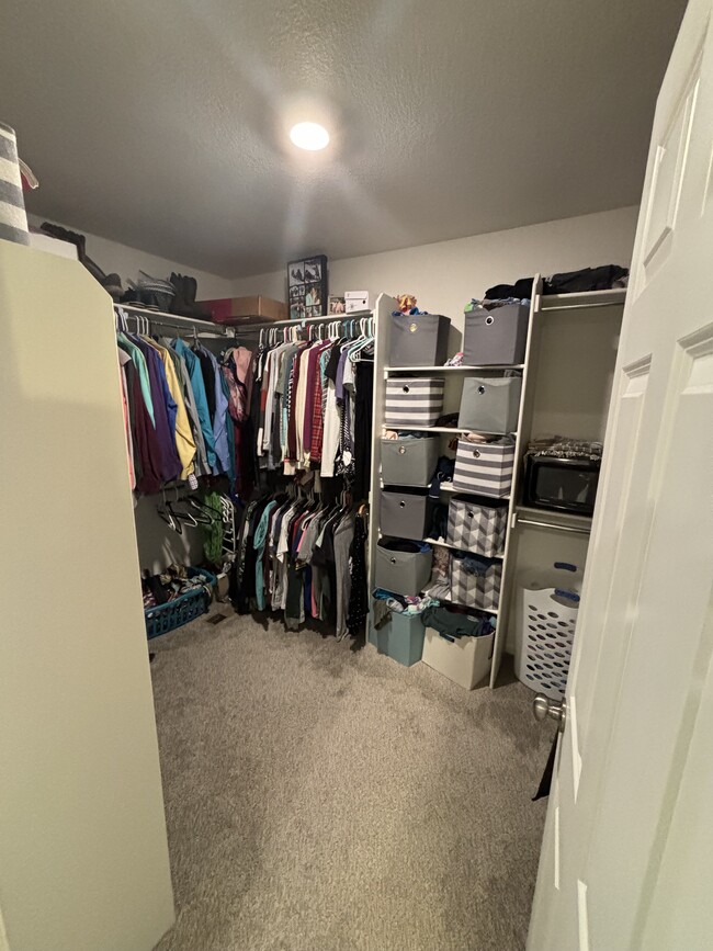 Master Closet - 3648 Abbotswood Dr