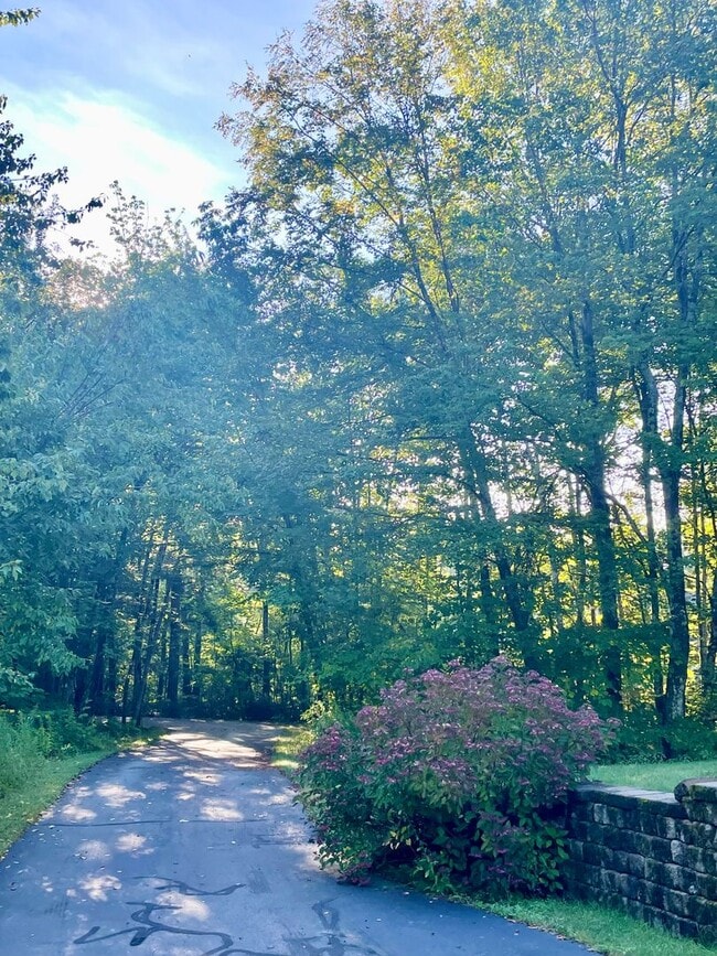 Building Photo - Sublet available now to May. Stunning 5 be...