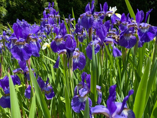 Building Photo - 155 Eastern Ave