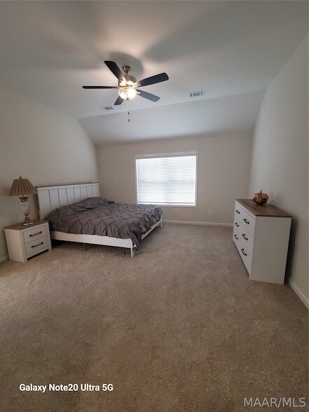 Building Photo - 229 Lismore Pl