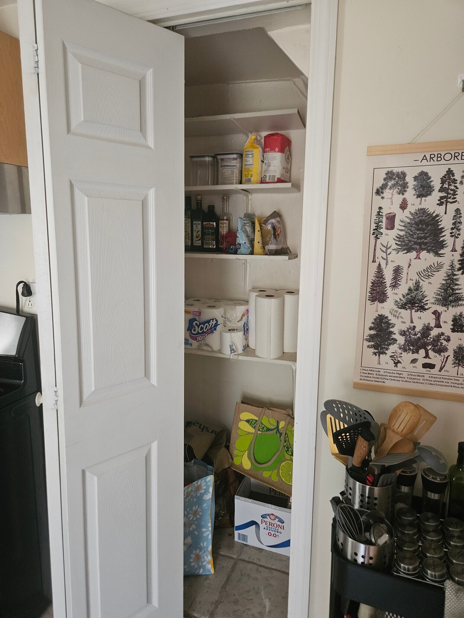 Pantry in the kitchen - 140 Mount Kemble Ave