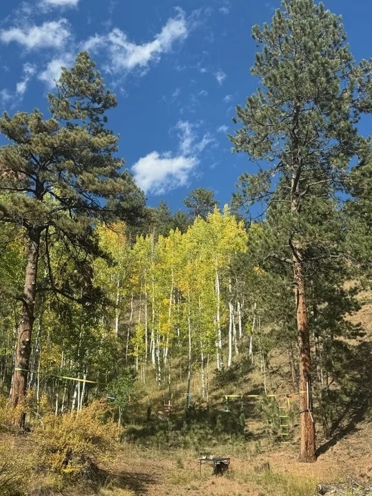 Building Photo - 2033 Rampart Range Rd