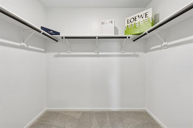 Building Photo - 1380 Blazin Bronco Trl