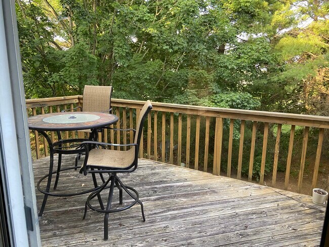 Beautiful Deck for BBQ - 2505 Ridge Rd