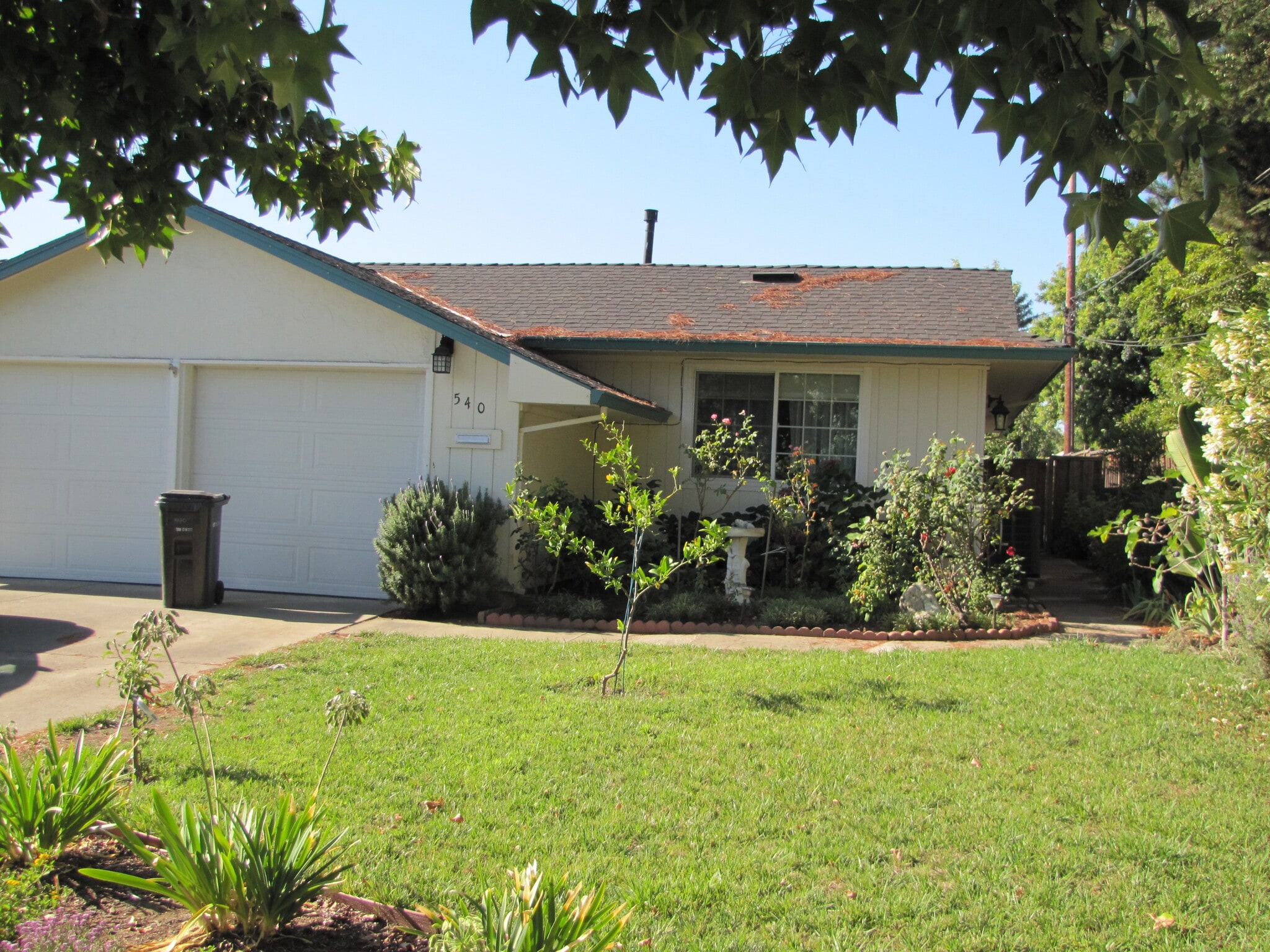 Exterior Front - 540 Monica Ln