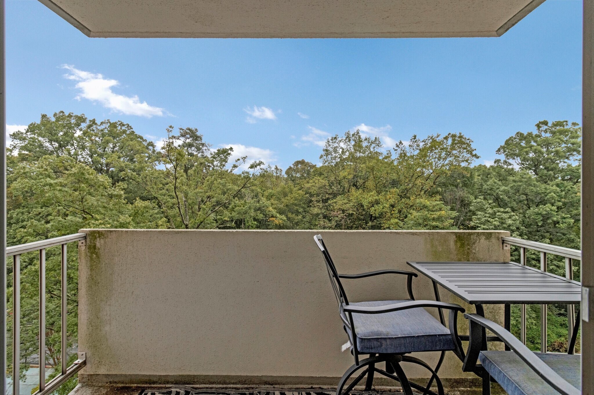 Treetops from balcony - 2939 Van Ness St NW