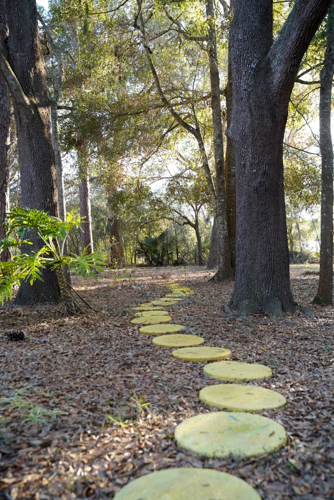Building Photo - 29205 Saddle Oaks Ln
