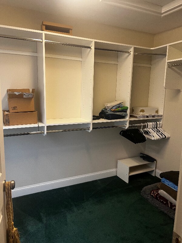 Building Photo - 4203 New Town Ave