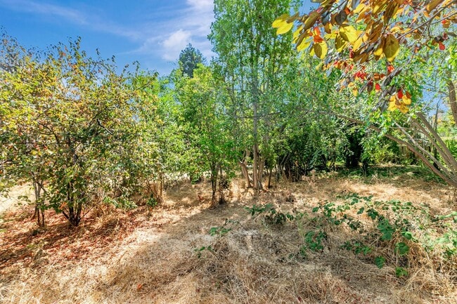 Building Photo - Classic Ranch Style Home in Top School Dis...