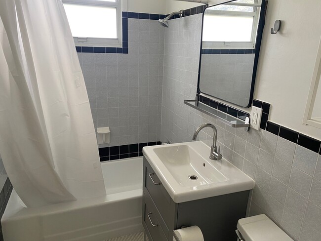 Fully renovated master bathroom - 228 W Walnut Ave