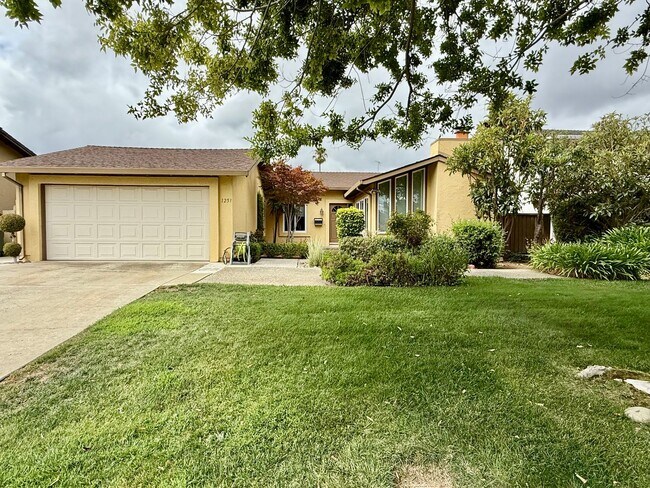 Primary Photo - Sunnyvale home with central air and new LV...
