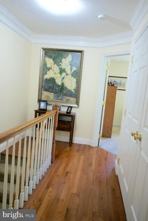 Building Photo - 104 Eastside Ln