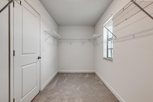 Building Photo - 3170 Streng Ln