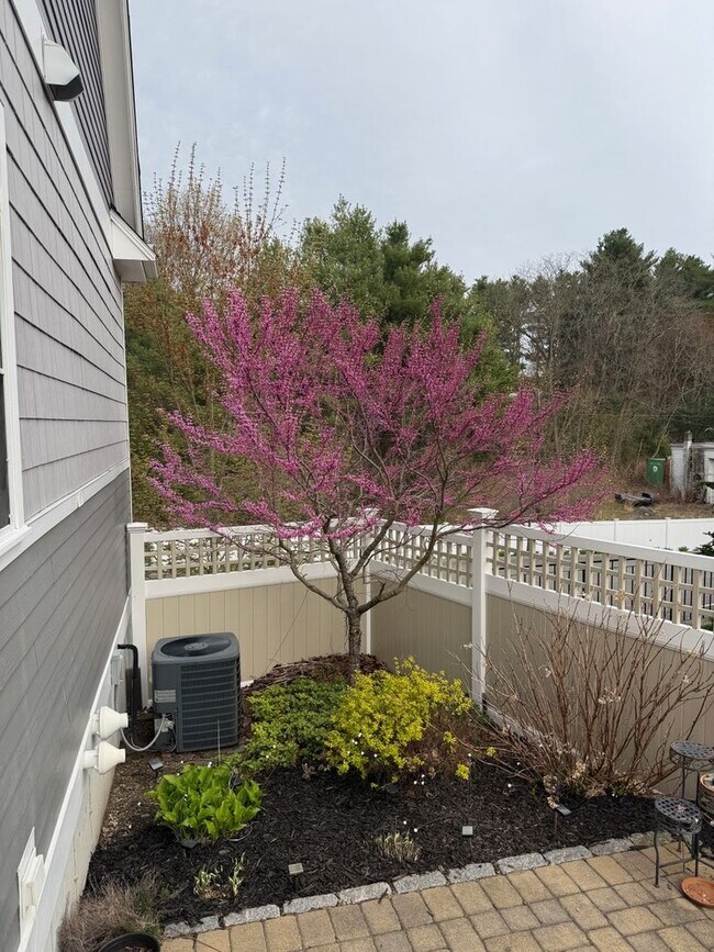 Building Photo - Charming 2BR House in Norfolk