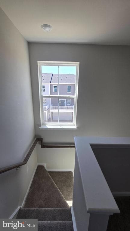 Building Photo - 1230 Red Clover Ln