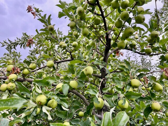 Building Photo - 90 S Main St