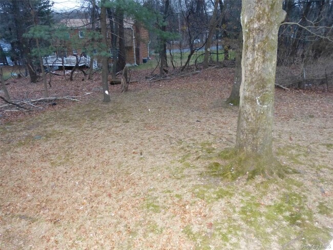 Building Photo - 154 Buena Vista Rd