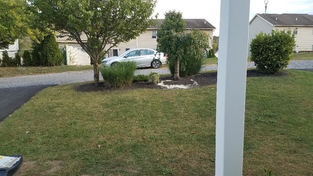 back yard - 605 Peach View Ln