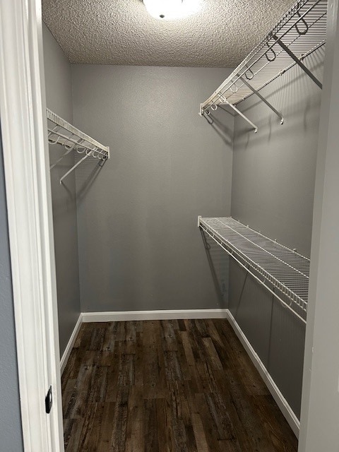 Building Photo - 145 Rocky Reef Cir