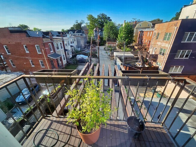 Building Photo - 907 Webster St NW