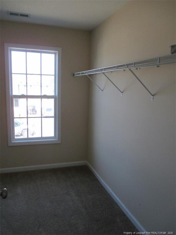 Building Photo - 1213 Piping Plover Court