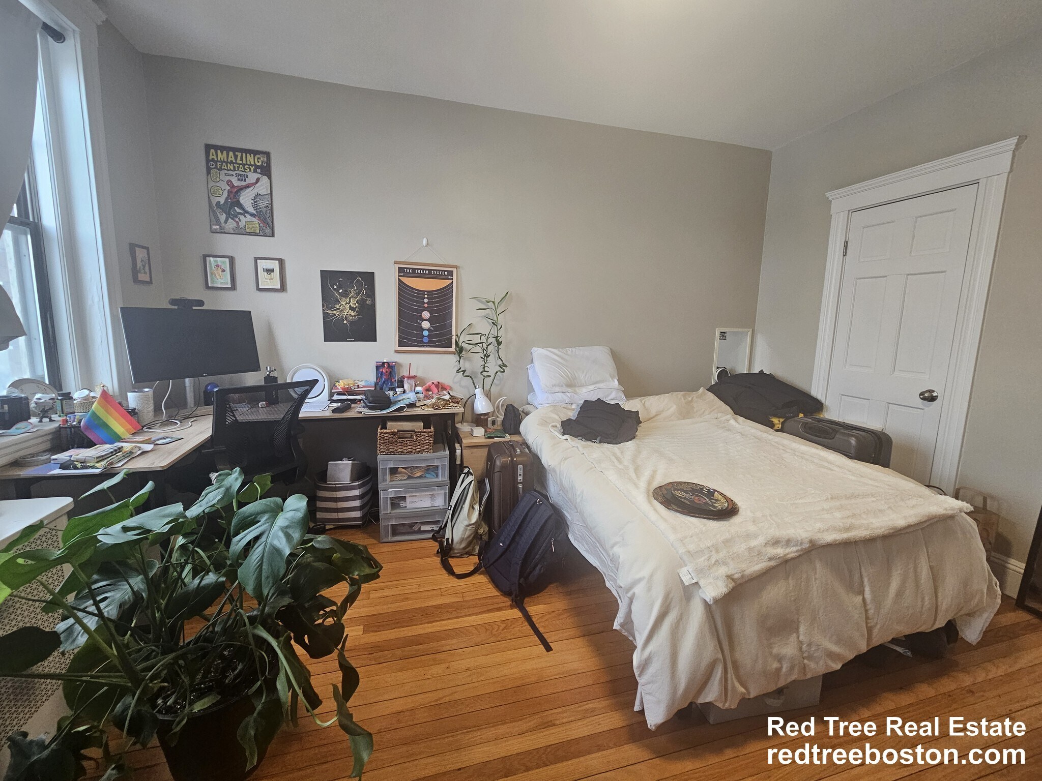 Building Photo - 370 Chestnut Hill Ave