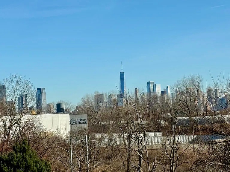 Views from 2nd floor - 388 Princeton Ave