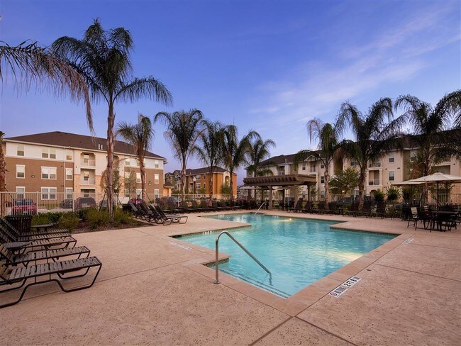 Pool Area - The Cove at Palmer Point