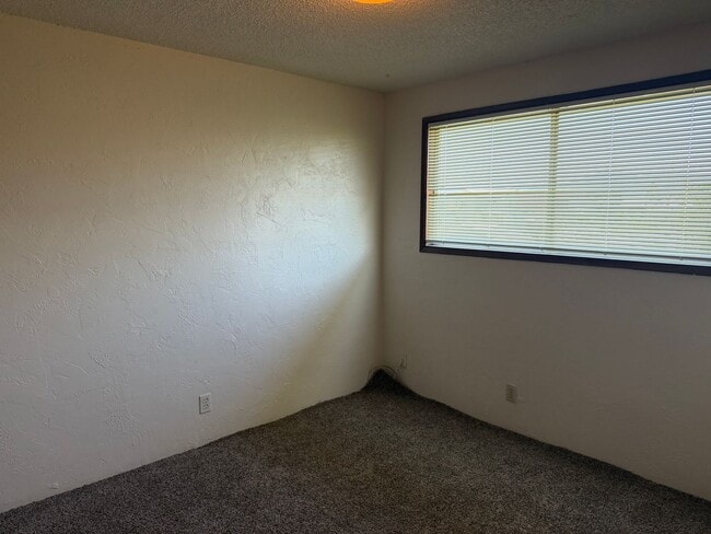 Building Photo - Great Duplex!