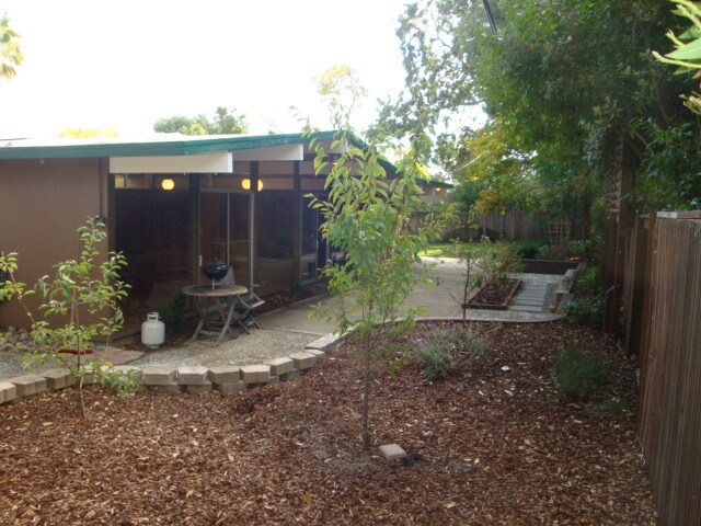 Backyard Plum trees - 683 Tiffany Ct