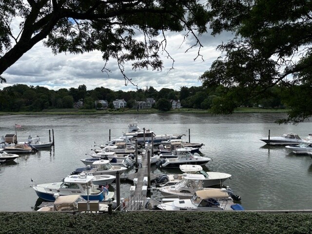 View from MBR - 15 River Rd