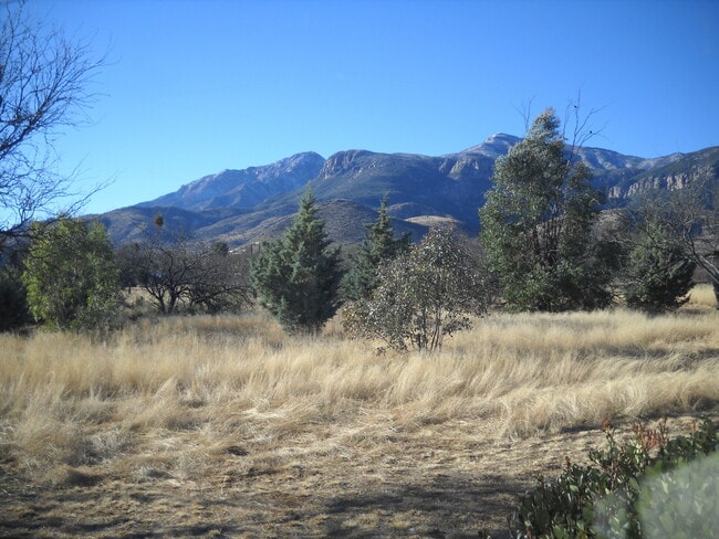 Building Photo - Mountain Views