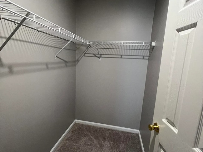 Building Photo - 6 Bedrooms 4 Bathroom 1672 Hammock Grove Lane